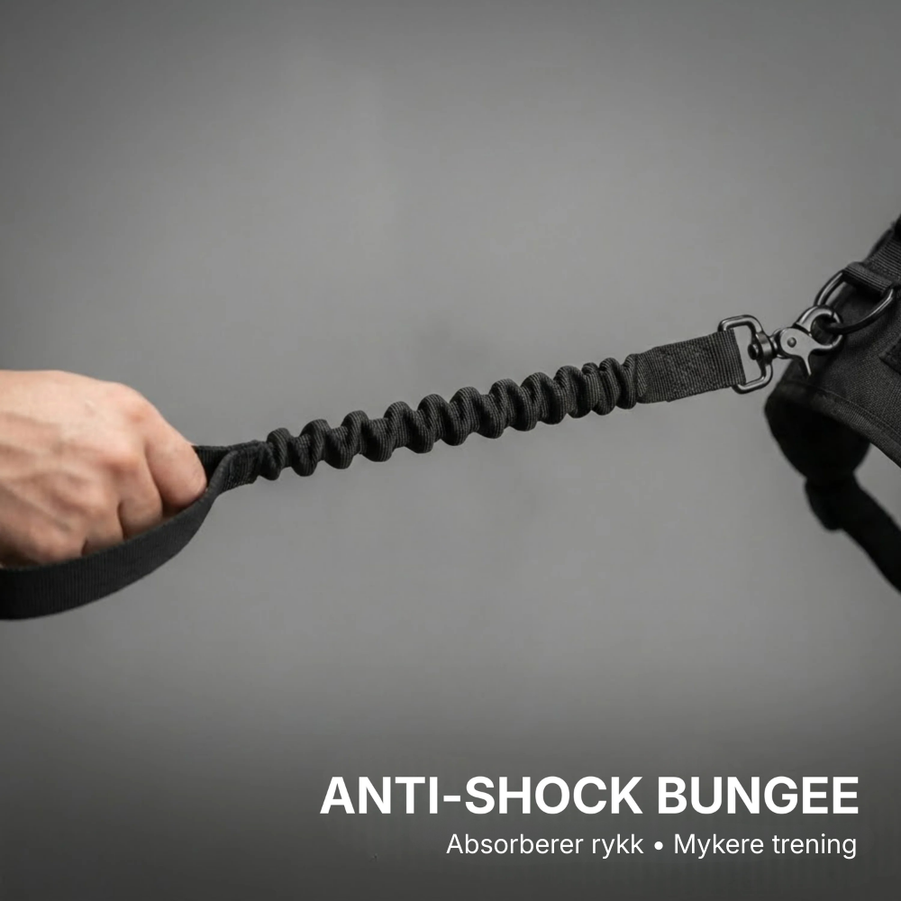 Dogtella Anti-Pull & Find Home Harness