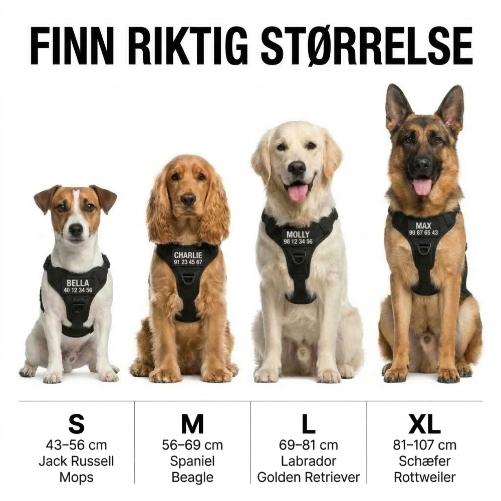 Dogtella Anti-Pull & Find Home Harness