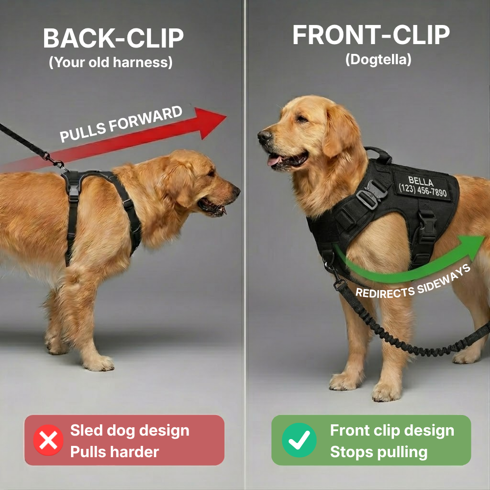 Dogtella Anti-Pull & Find Home Harness