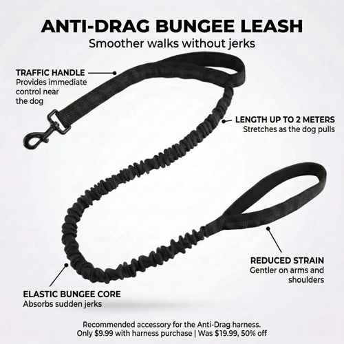 Dogtella - Tactical Dog Leash with Shock Absorption