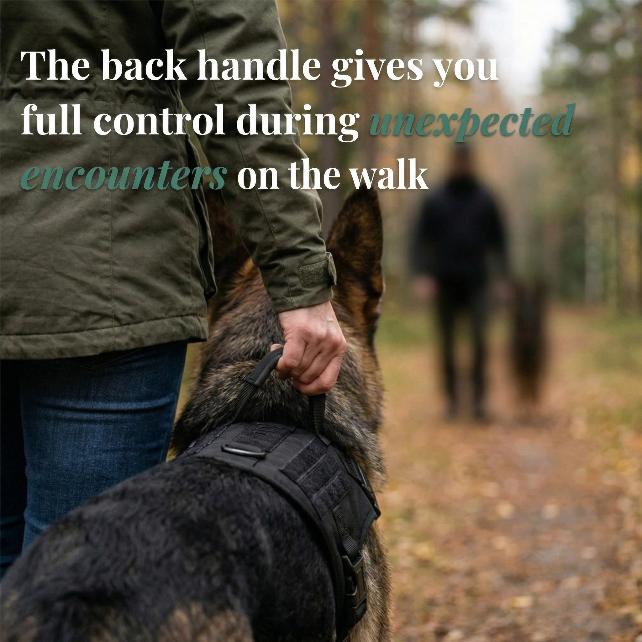 Dogtella Anti-Pull & Find Home Harness