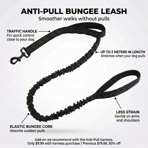 Dogtella - Tactical Dog Leash with Shock Absorption