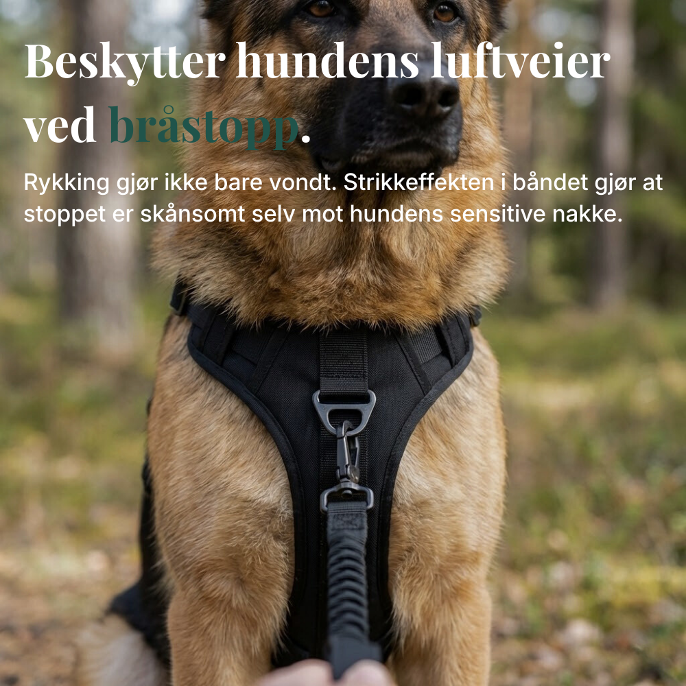 Dogtella Anti-Pull & Find Home Harness