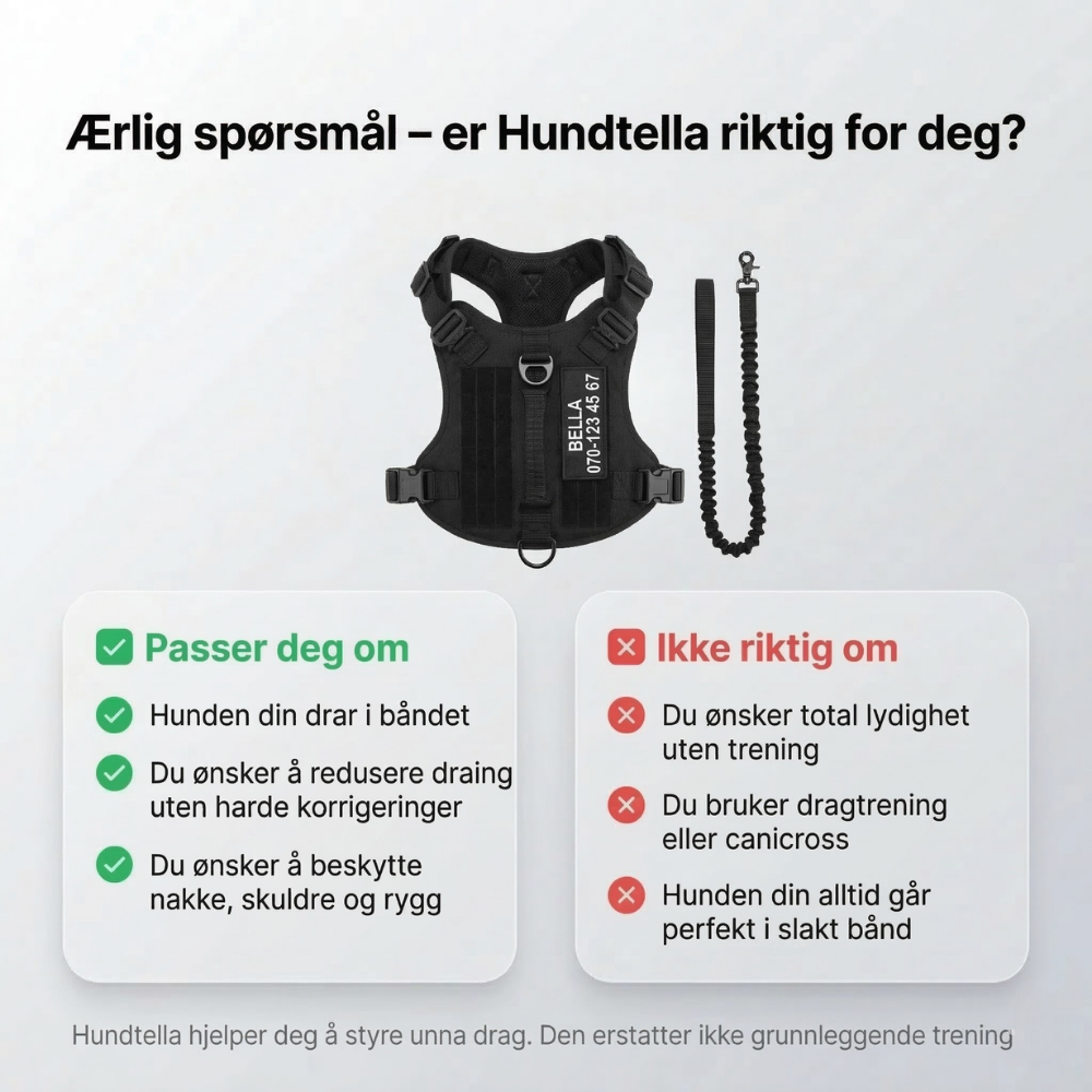 Dogtella Anti-Pull & Find Home Harness